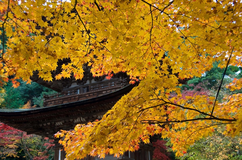 1029_西明寺_滋賀