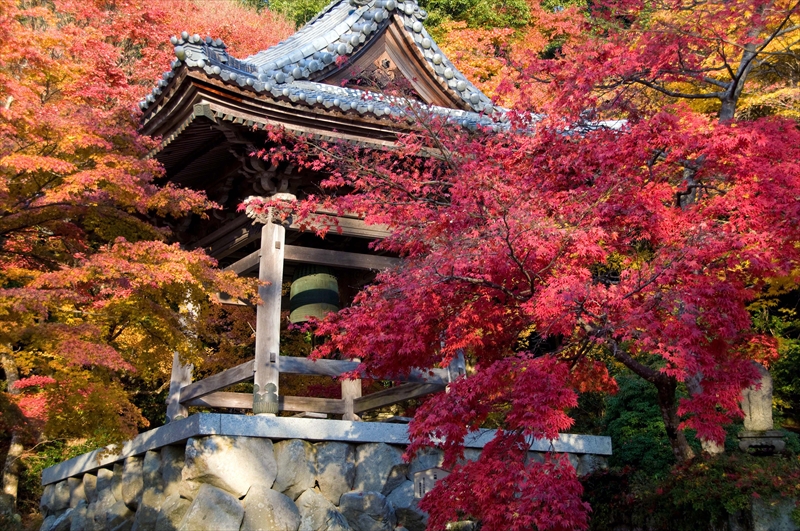 1036_東光寺_滋賀