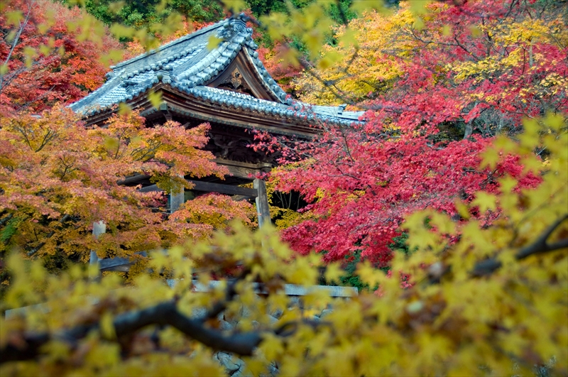1041_東光寺_滋賀