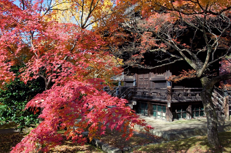 1091_洛東 真正極楽寺 (真如堂)_京都