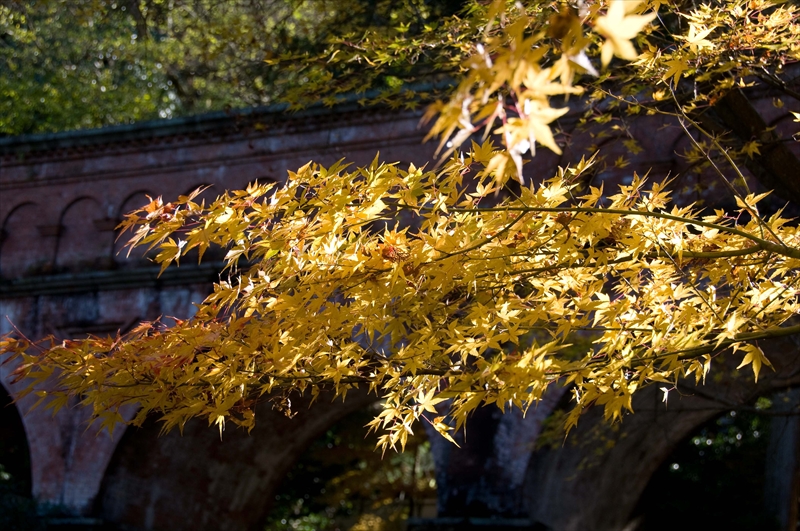1029_洛東 南禅寺_京都