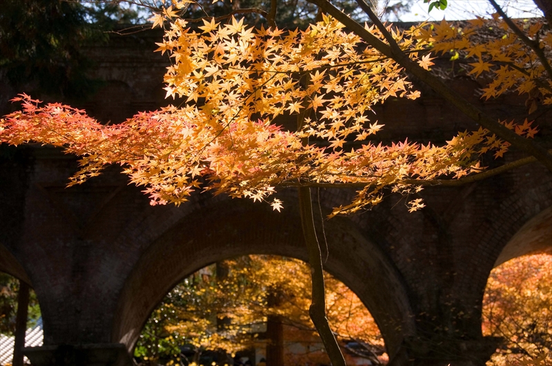 1030_洛東 南禅寺_京都