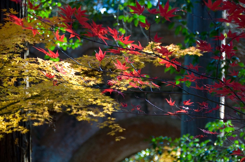 1031_洛東 南禅寺_京都