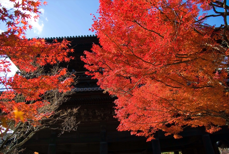 1033_洛東 南禅寺_京都