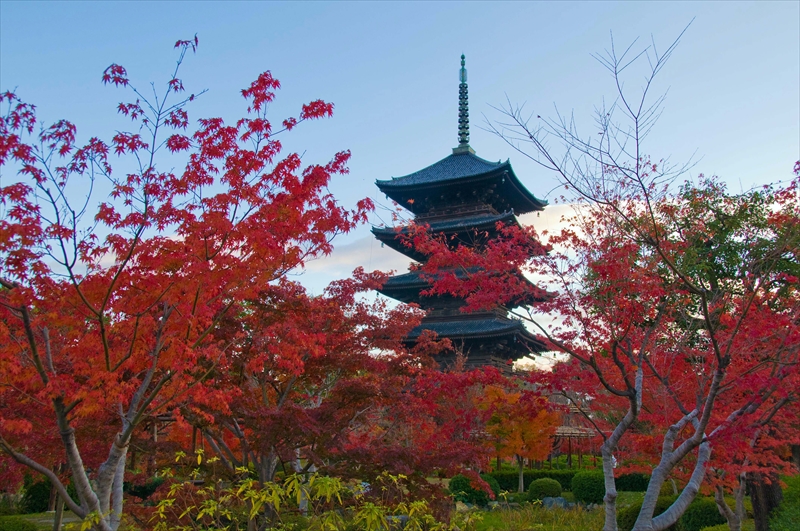 1128_洛中 東寺_京都