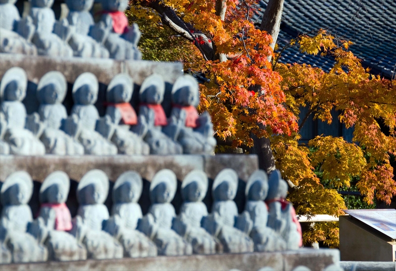 1155_洛中 乙訓寺_京都