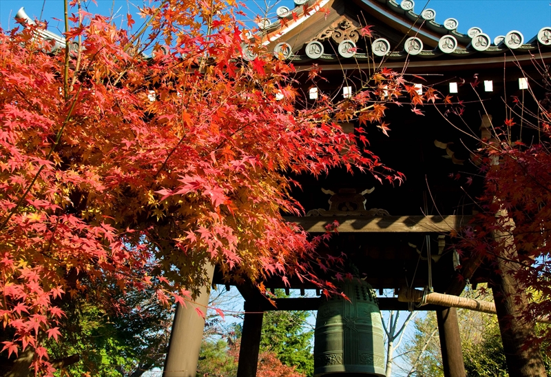 1157_洛中 乙訓寺_京都