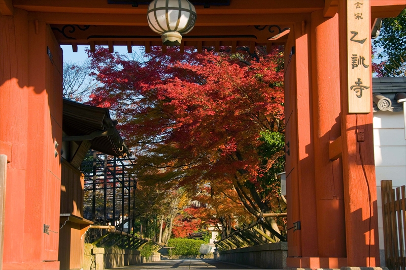 1159_洛中 乙訓寺_京都