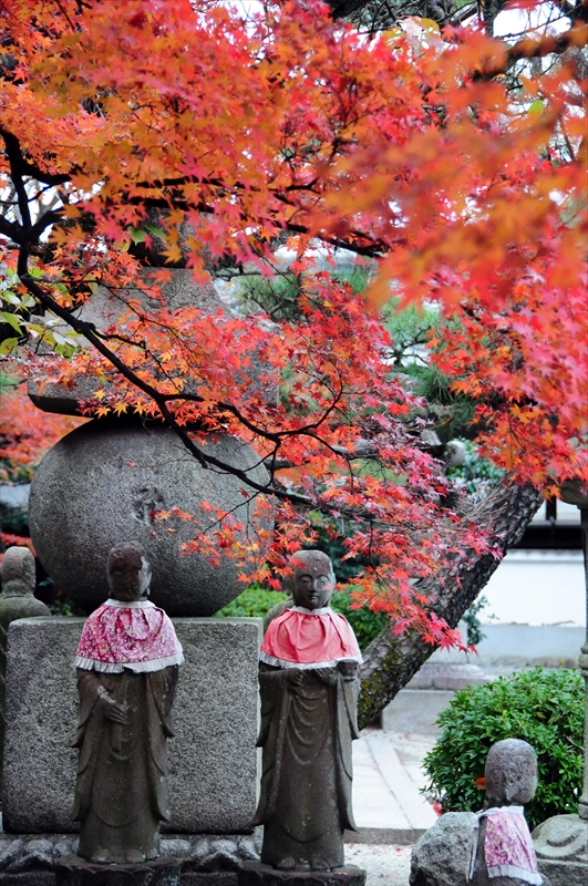1038_洛北 三千院_京都
