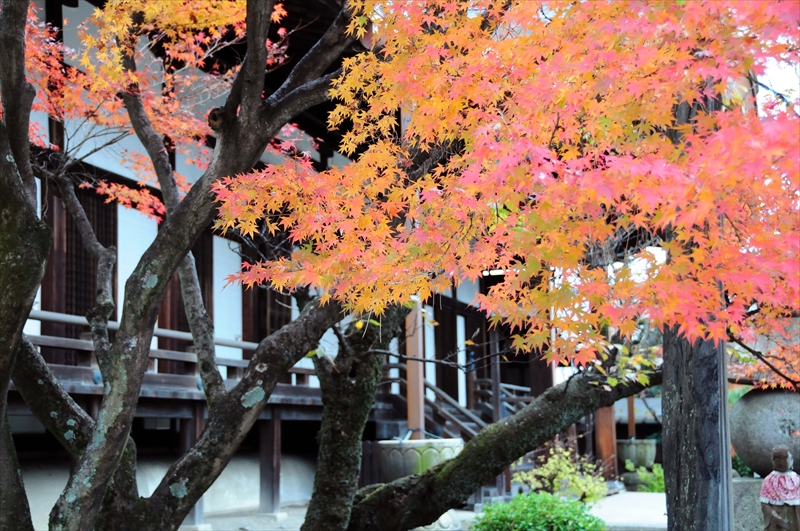 1039_洛北 三千院_京都