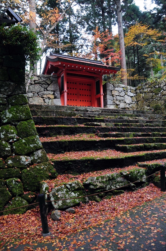 1041_洛北 三千院_京都