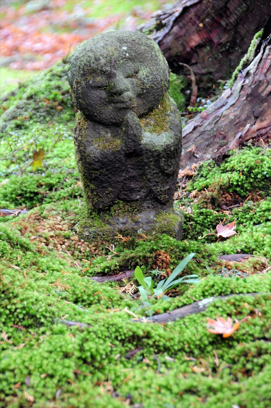 1044_洛北 三千院_京都