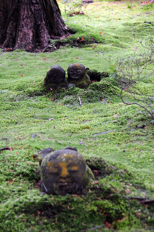 1046_洛北 三千院_京都