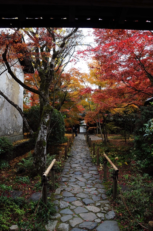 1009_洛北 蓮華寺_京都