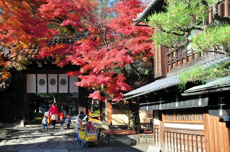 1016_洛北 今宮神社_京都