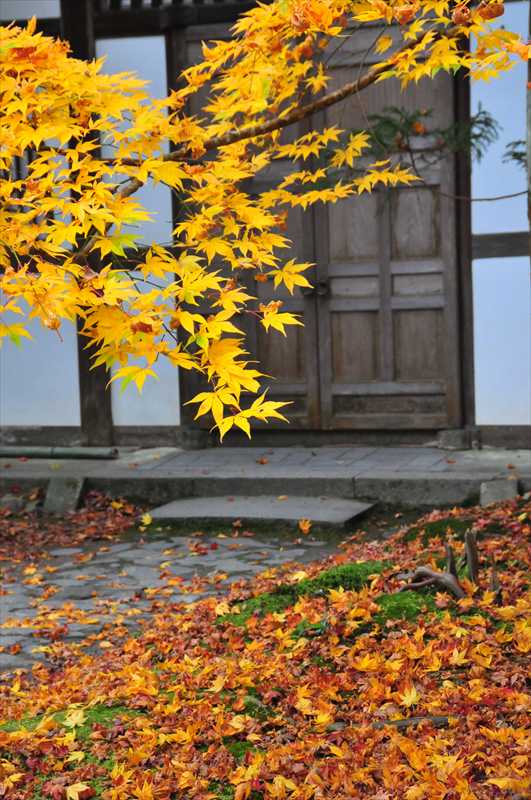 1123_洛東 安楽寺_京都