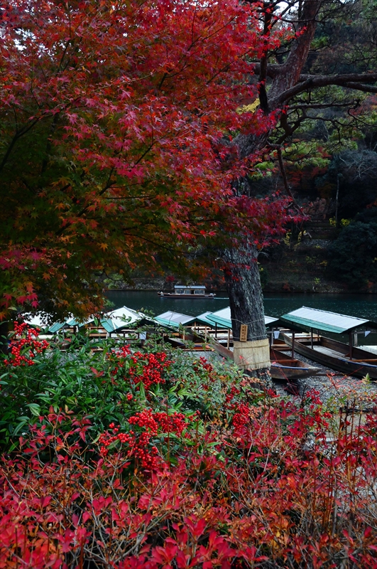 1062_奈良公園_奈良