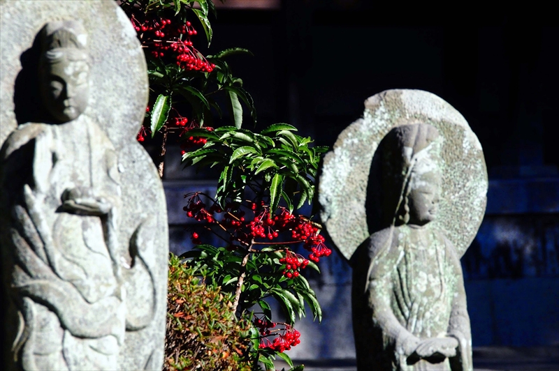 1053_鎌倉円覚寺_神奈川