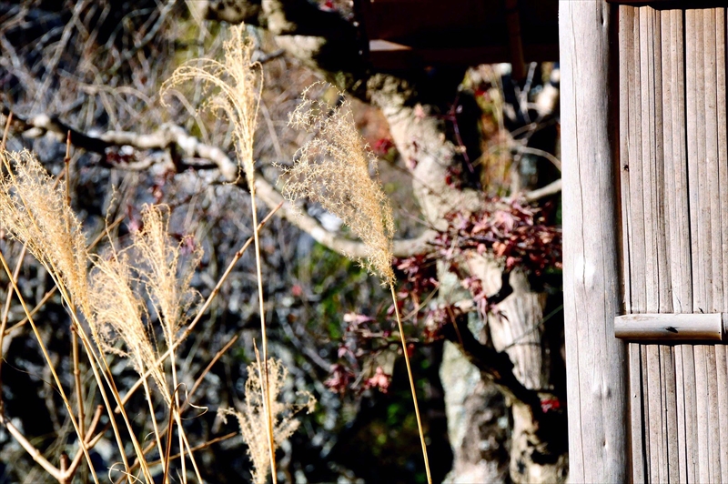 1059_鎌倉円覚寺_神奈川