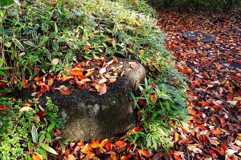 1110__横浜市新羽町_神奈川