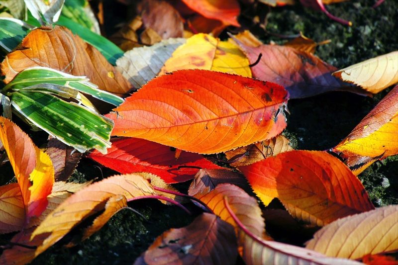 1111__横浜市新羽町_神奈川