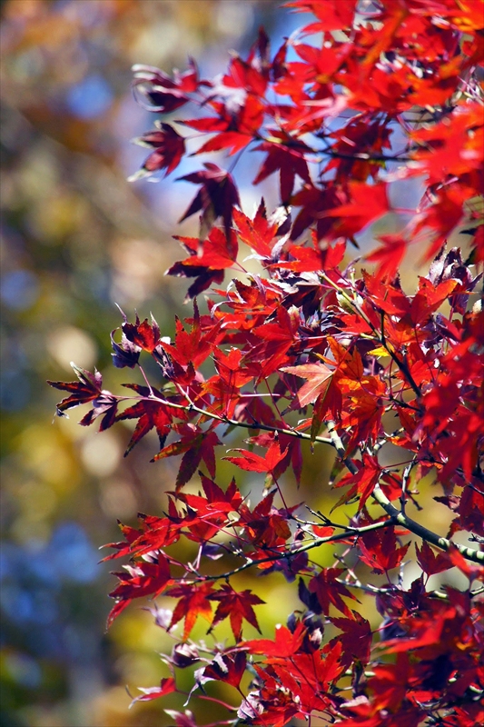 1113__横浜市新羽町_神奈川