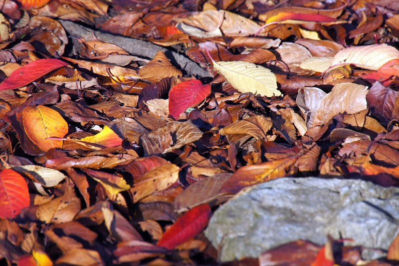 1114__横浜市新羽町_神奈川