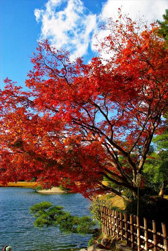 1010_後楽園_岡山