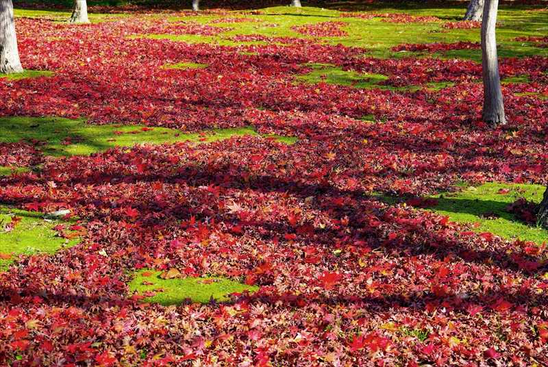 1021_後楽園_岡山