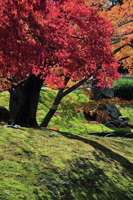 1024_後楽園_岡山