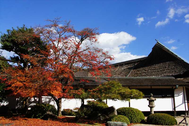 1029_後楽園_岡山