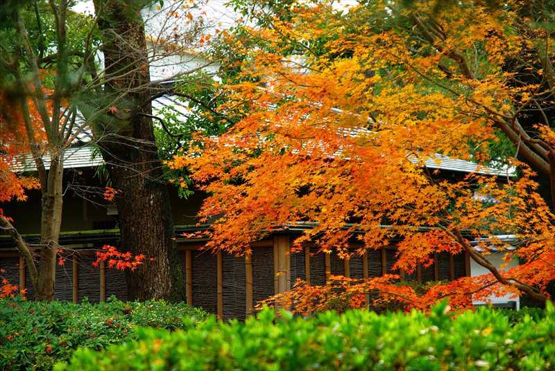 1004_洛南 宇治平等院_京都