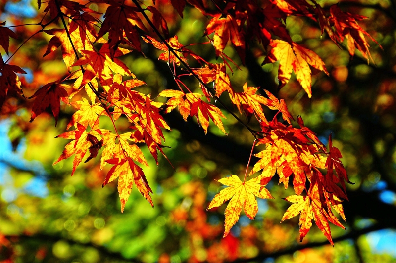 1119__横浜市新羽町_神奈川