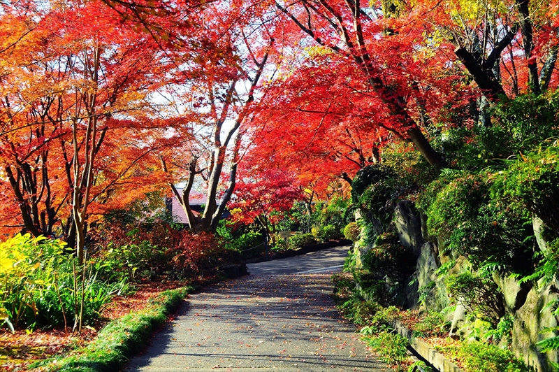 1016_京都 大山崎山荘_京都