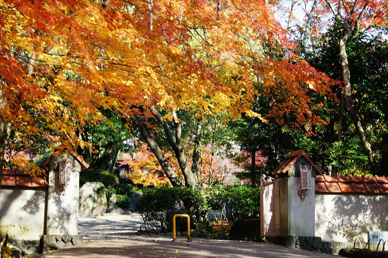 1017_京都 大山崎山荘_京都
