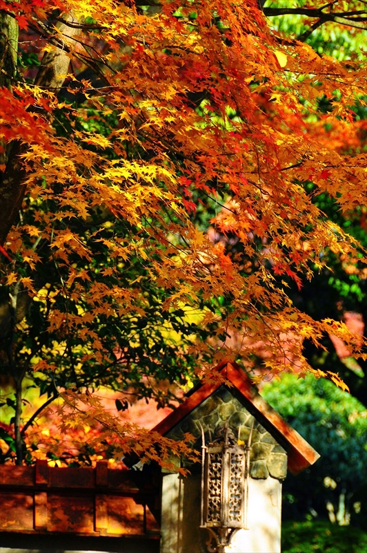 1019_京都 大山崎山荘_京都