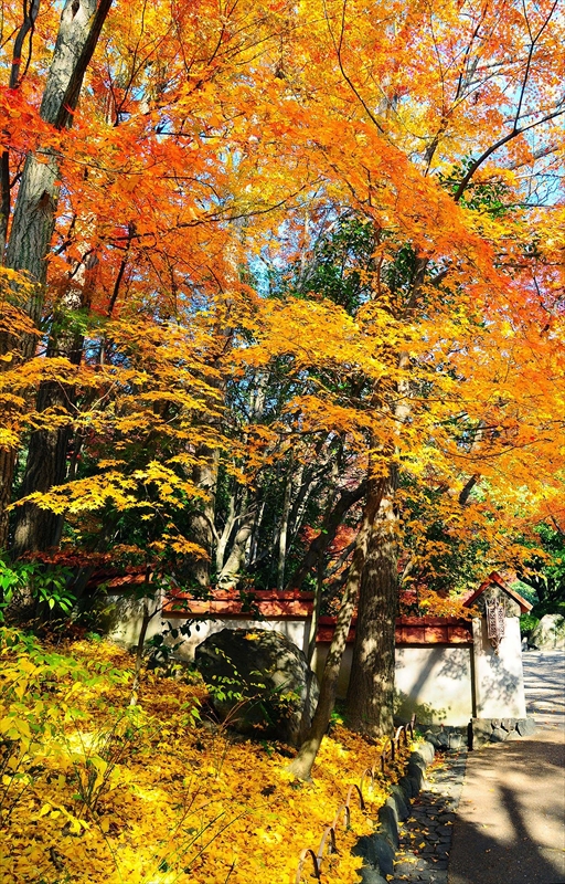 1022_京都 大山崎山荘_京都