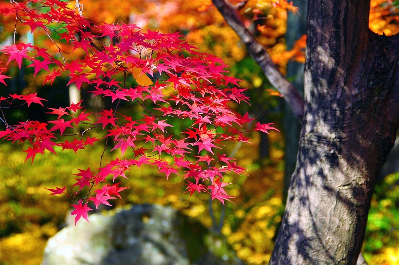 1028_京都 大山崎山荘_京都