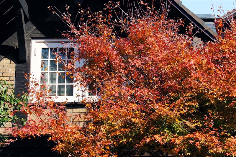 1029_京都 大山崎山荘_京都