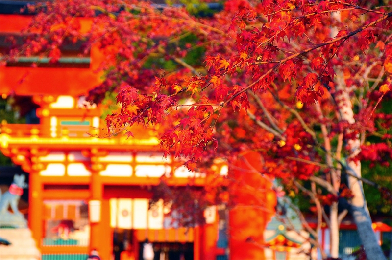 1010_京都 石清水八幡宮_京都