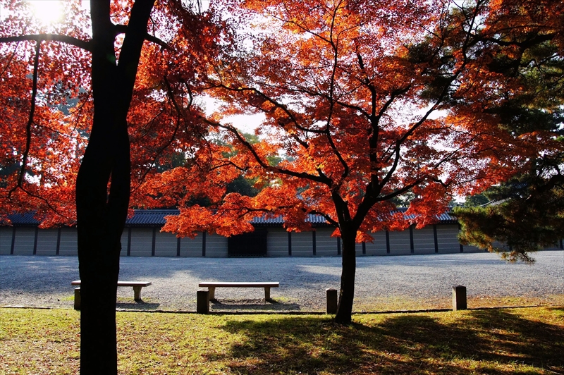 1045_洛中 京都御苑_京都