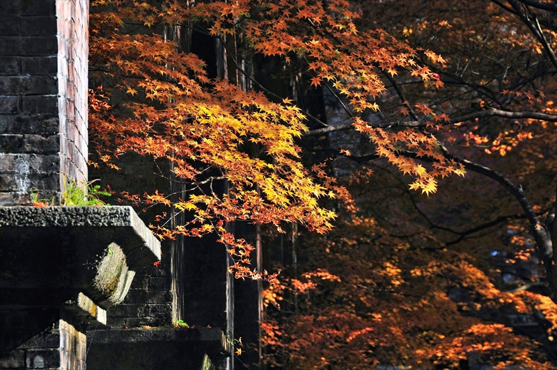 1038_洛東 南禅寺_京都