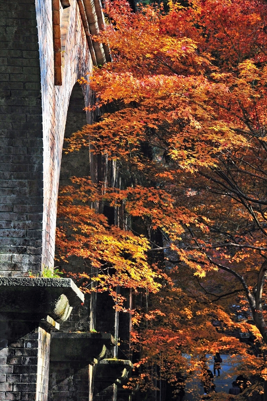 1039_洛東 南禅寺_京都