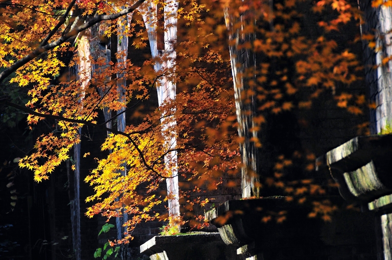 1047_洛東 南禅寺_京都