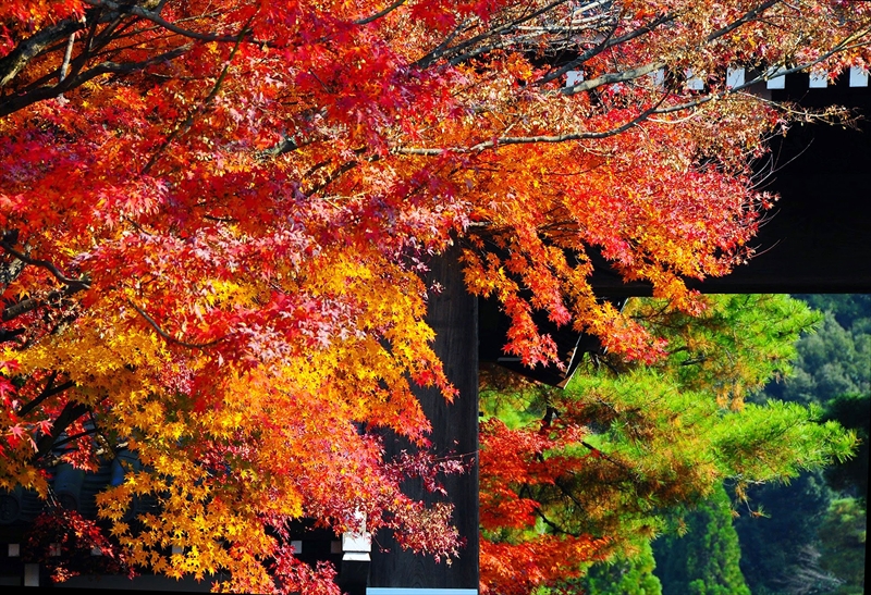 1048_洛東 南禅寺_京都