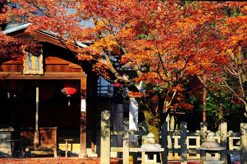 1075_洛東 竹中稲荷神社_京都