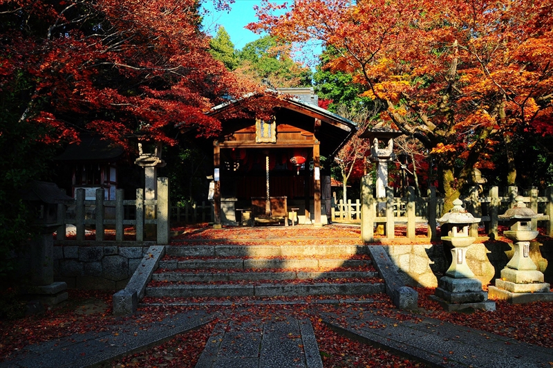 1078_洛東 竹中稲荷神社_京都