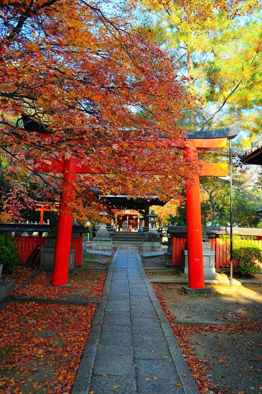 1081_洛東 竹中稲荷神社_京都