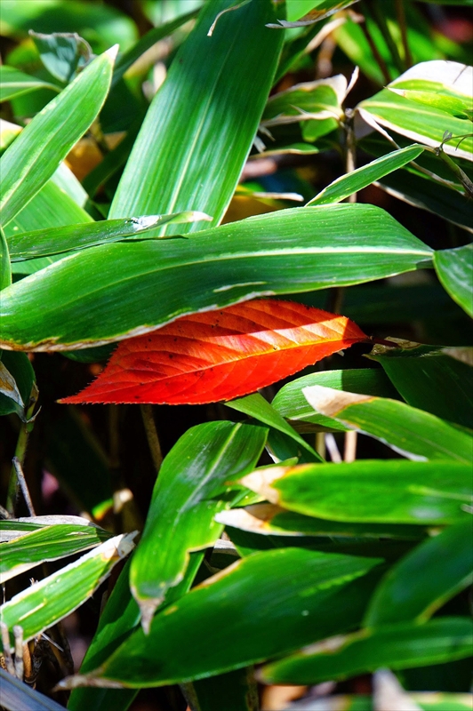 1123__横浜市新羽町_神奈川