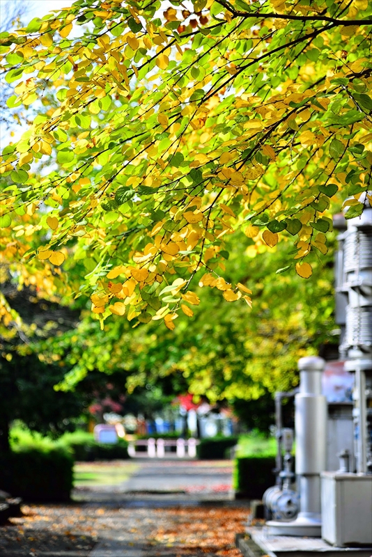 1124__横浜市新羽町_神奈川